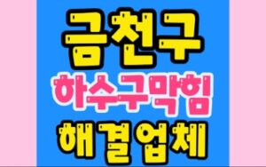 금천구싱크대막힘 시흥동 하수구막힘 뚫음