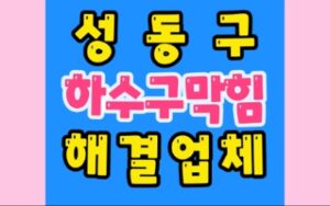 성동구하수구막힘 싱크대배관막힘 뚫기