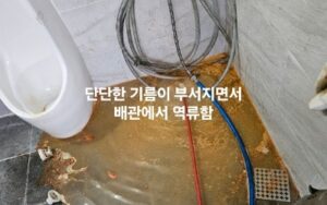 하수구 막힘 증상 역류