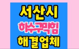 서산하수구막힘 동문동 싱크대막힘 뚫음