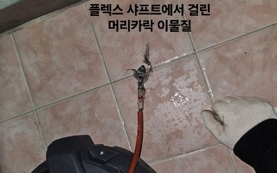 청덕동 싱크대막힘 갈비집 굳은 소기름 하수구 역류 100% 완전 복원