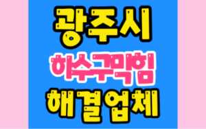 광주싱크대막힘 하수구막힘 역류원인 상세 설명