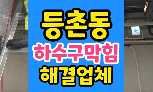 등촌동 싱크대막힘 욕실 하수구 역류 오수 분출