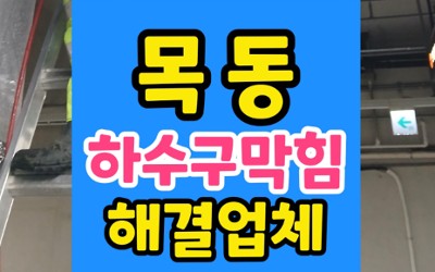 목동 싱크대막힘 상가주택 2층 배수시 1층 하수구 역류