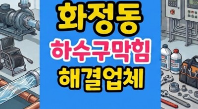 화정동 싱크대막힘 주방 바닥 하수구 역류 비상 상황