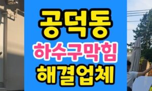 공덕동 싱크대막힘 불어난 면발 하수구 내시경 타격