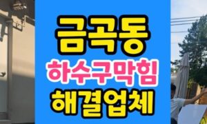 금곡동 싱크대막힘 하수구 내부 단백질 굳음 완벽 해결