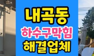 내곡동 싱크대막힘 마루썩는 하수구막힘 원인 배관내시경