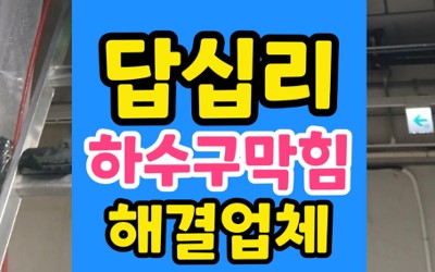 답십리동 싱크대막힘 하수구막힘 비닐 역류 통수
