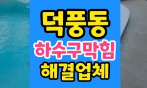 하남 덕풍동 싱크대막힘 발효종 굳음 완벽 하수구역류