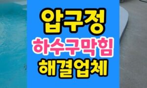 압구정동 싱크대막힘 하수구 직구 디스포저 추락