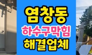 강서구 염창동 싱크대막힘 하수구 고춧가루 진흙 역류
