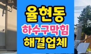 율현동 싱크대막힘 반려견 털과 엉킨 하수구막힘