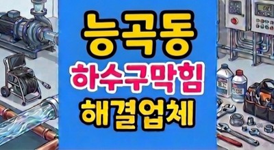 능곡동 싱크대막힘 동물성 유지방의 침전 결석화 하수구 역류