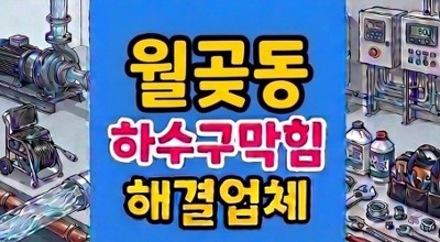 월곶동 싱크대막힘 야간출동 김치찌꺼기 방치한 하수구 역류 완벽 통수