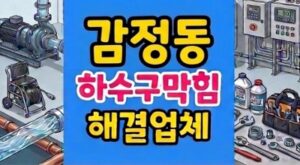 감정동 싱크대막힘 하수구뚫음 역류 잉어기름
