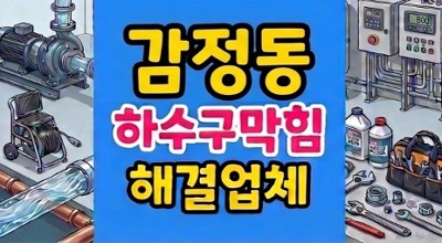 감정동 싱크대막힘 하수구뚫음 역류 잉어기름