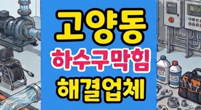 고양동 싱크대막힘 투명 스푼 하수구역류