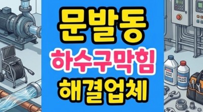 문발동 싱크대막힘 하수구역류 로봇청소기 떡진먼지 타파