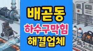 배곧동 싱크대막힘 하수구뚫음 반려견 사포 역류