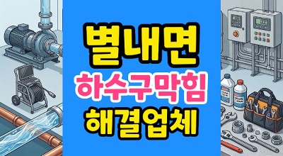 별내면 싱크대막힘 역류 치아씨드 하수구팽창