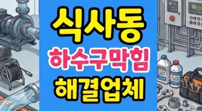 식사동 싱크대막힘 나일론 솔뭉치 하수구역류 해결