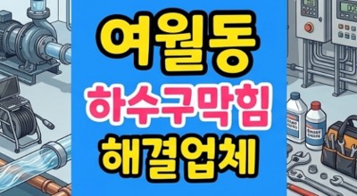 여월동 싱크대막힘 아기이유식 채소 덫 하수구역류