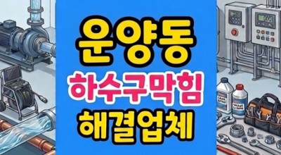 김포 운양동 싱크대막힘 하수구역류 굳은 전분 통수