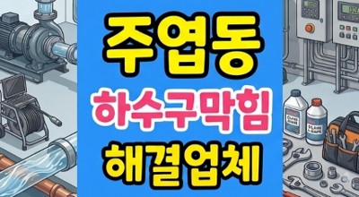 주엽동 싱크대막힘 주방굴착방어 홈카페 커피 뻘 하수구역류