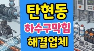 탄현동 싱크대막힘 하수구역류 하부장 악취 주범