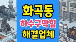 화정동 싱크대막힘 디스포저 섬유질엉킴 하수구역류 완벽해결